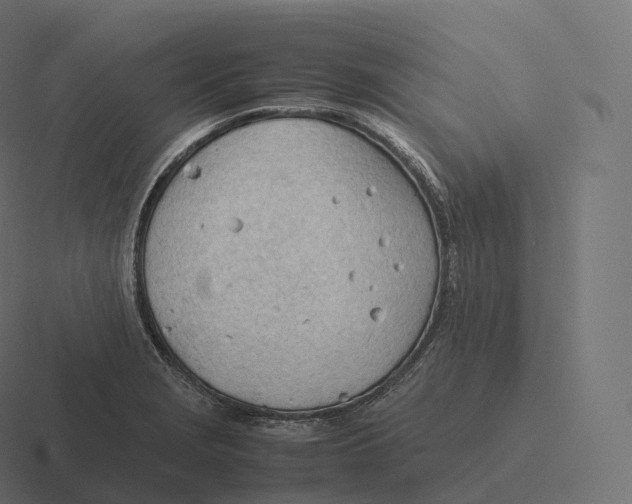 X0000116311229200912291445