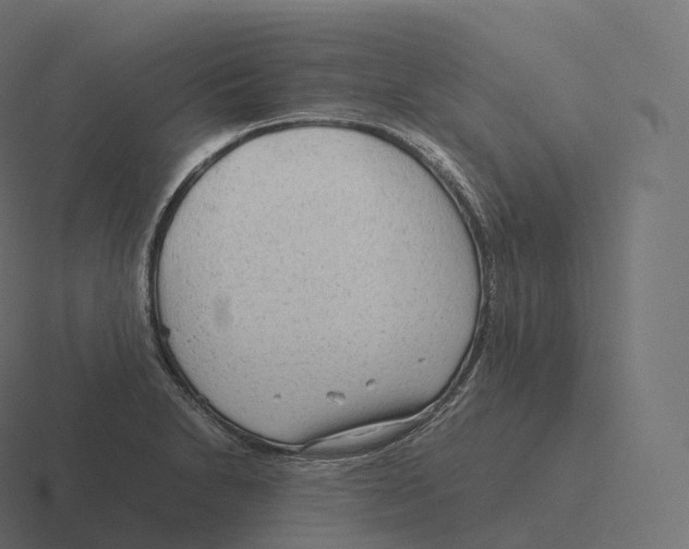 X0000116311230200912291445