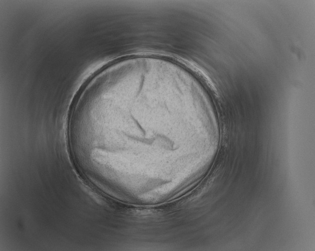 X0000116311231200912291445