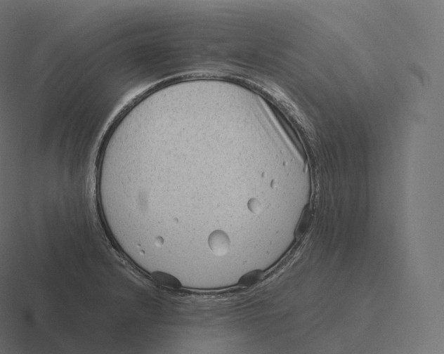 X0000116311232200912291445