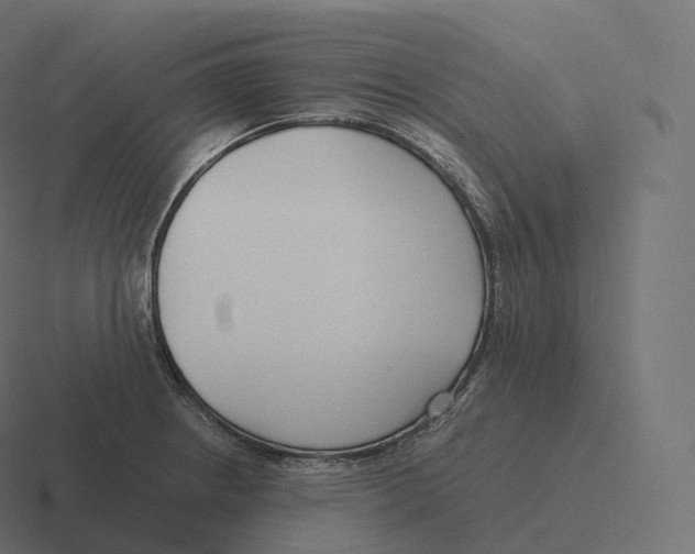 X0000116311234200912291445