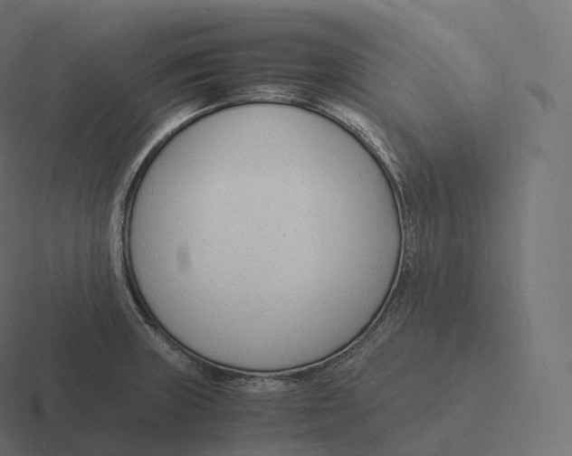 X0000116311235200912291445