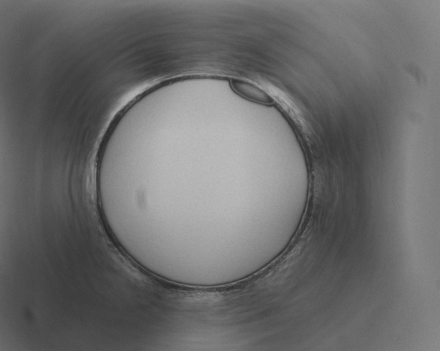 X0000116311238200912291445