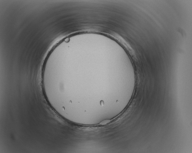 X0000116311240200912291445