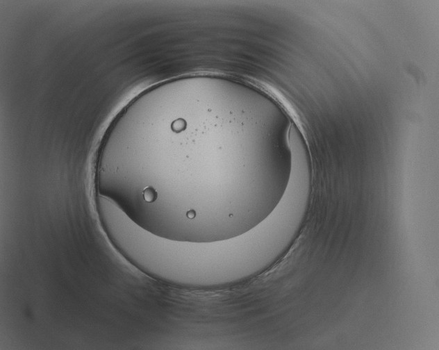 X0000116311243200912291445