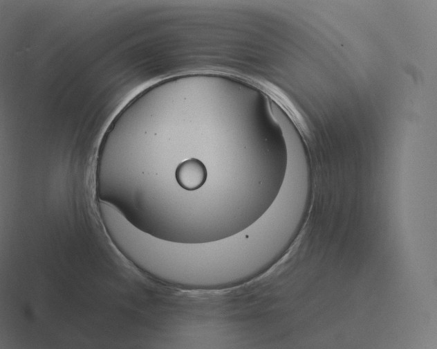 X0000116311244200912291445