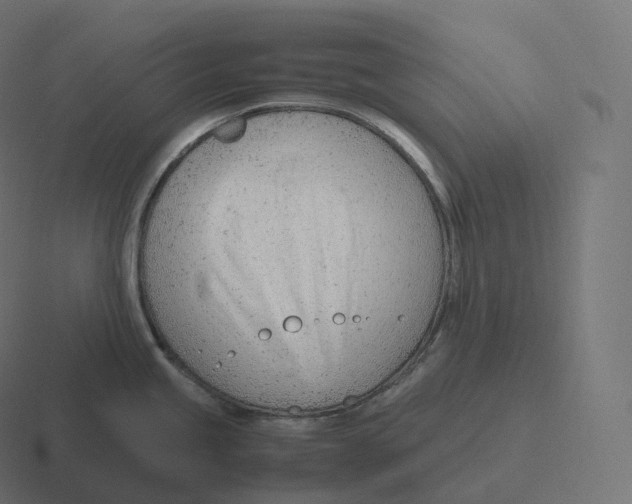 X0000116311245200912291445