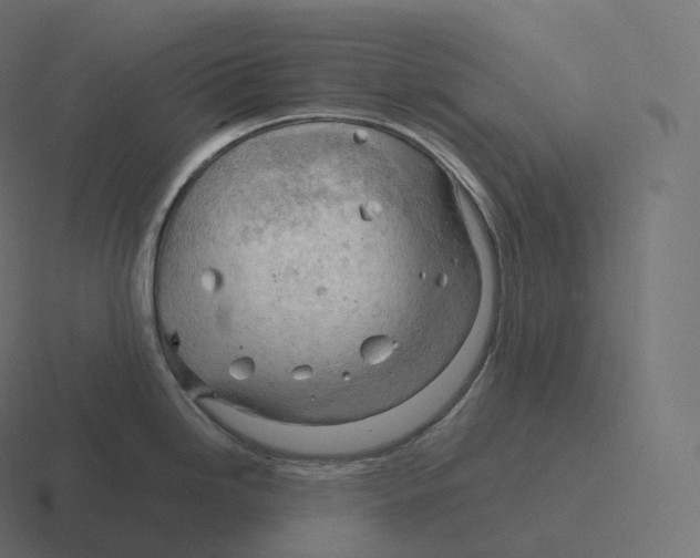 X0000116311246200912291445