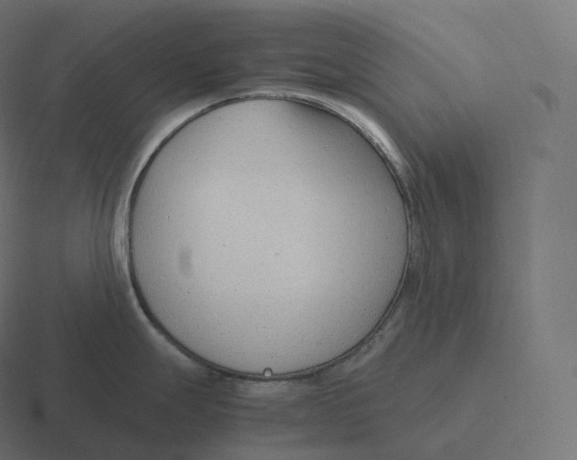 X0000116311247200912291445