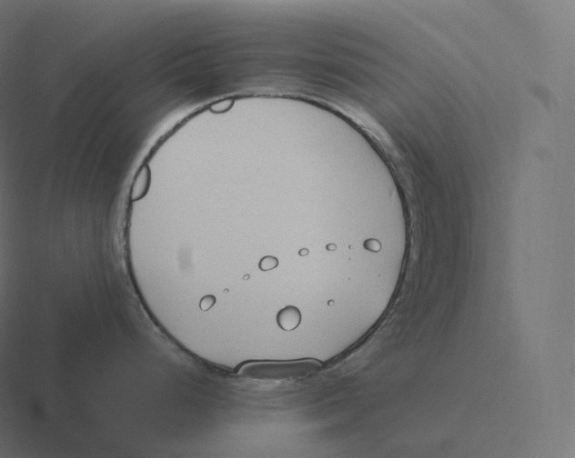 X0000116311248200912291445