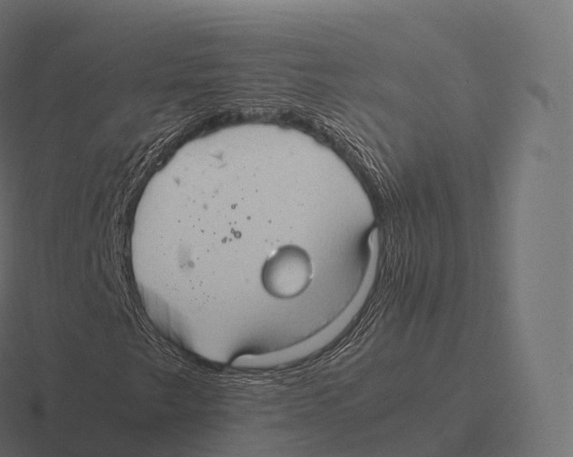 X0000116311249200912291444