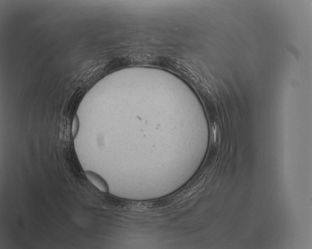 X0000116311251200912291444