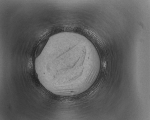 X0000116311252200912291444