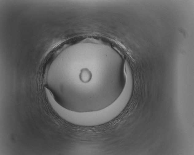 X0000116311255200912291444