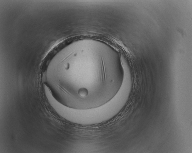 X0000116311256200912291444