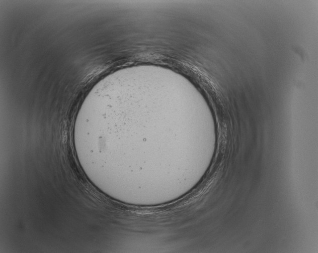 X0000116311257200912291444