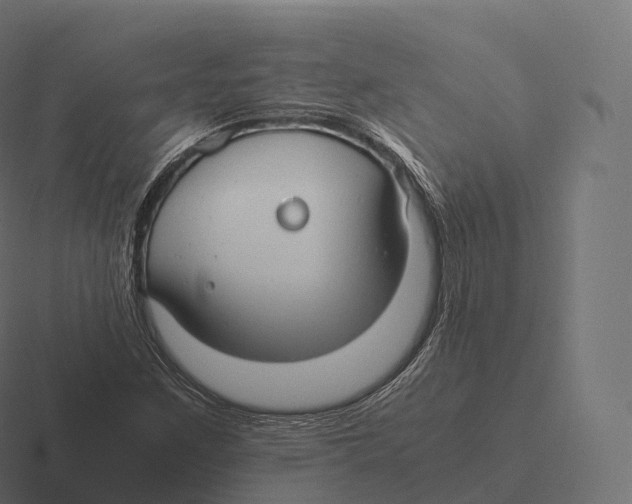 X0000116311259200912291444