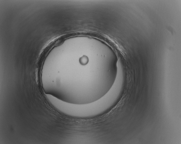 X0000116311262200912291444