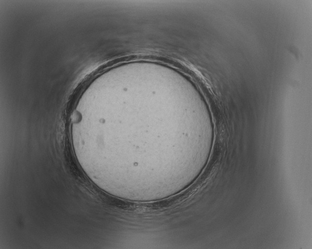 X0000116311263200912291444