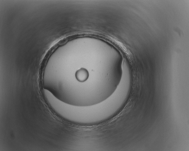 X0000116311264200912291444