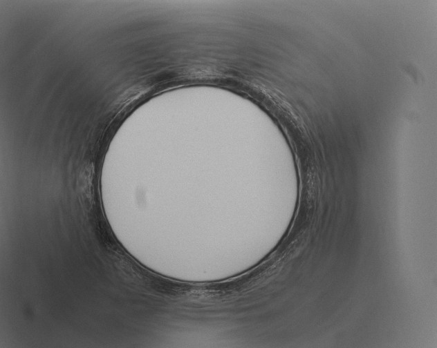 X0000116311265200912291444