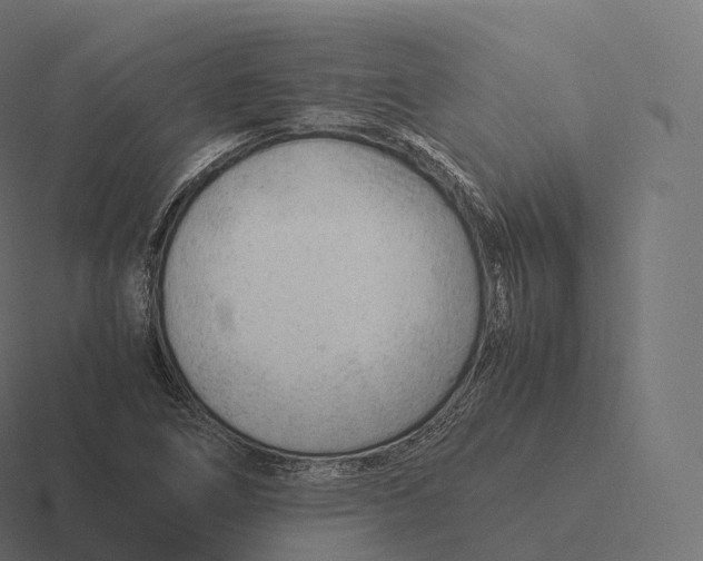 X0000116311266200912291444