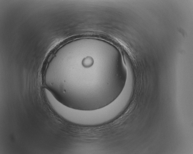 X0000116311267200912291444