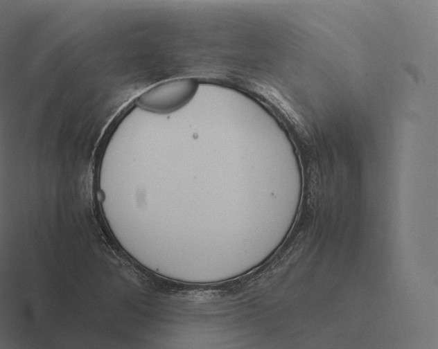 X0000116311268200912291444