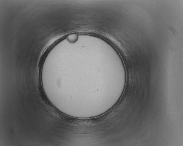 X0000116311270200912291444