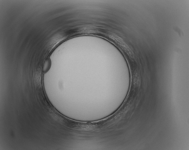 X0000116311273200912291444