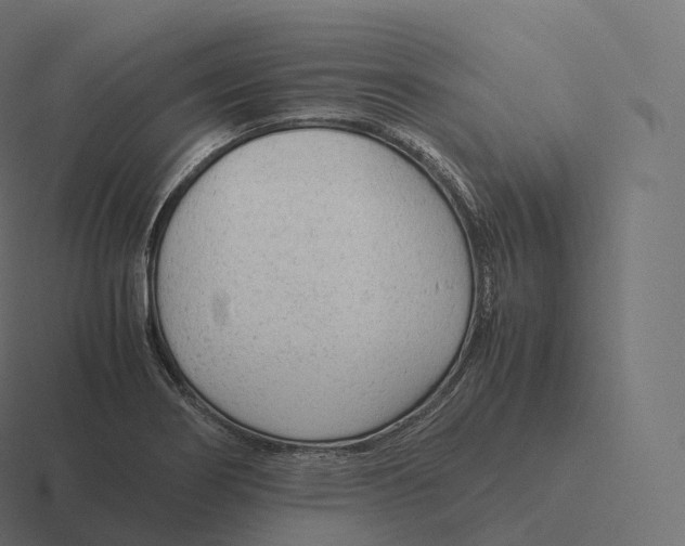 X0000116311274200912291444