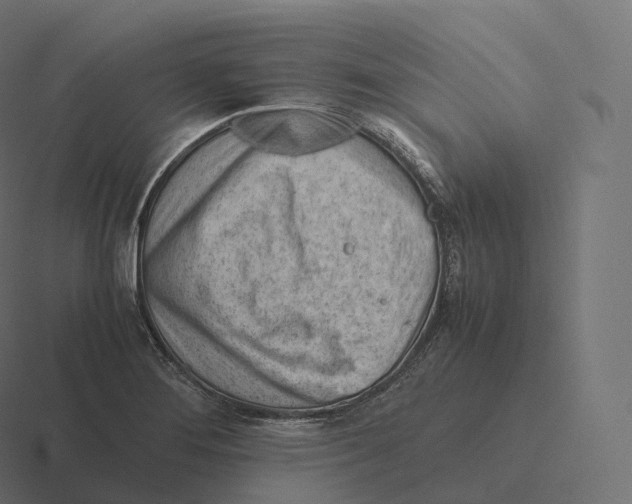 X0000116311276200912291444