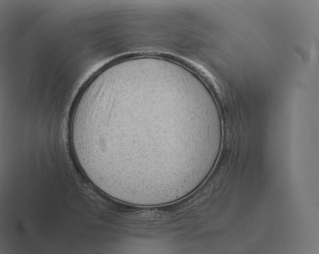 X0000116311279200912291444