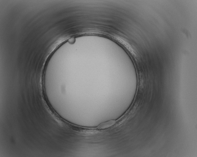 X0000116311282200912291444