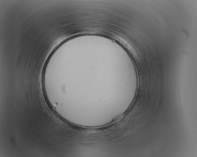 X0000116311283200912291444