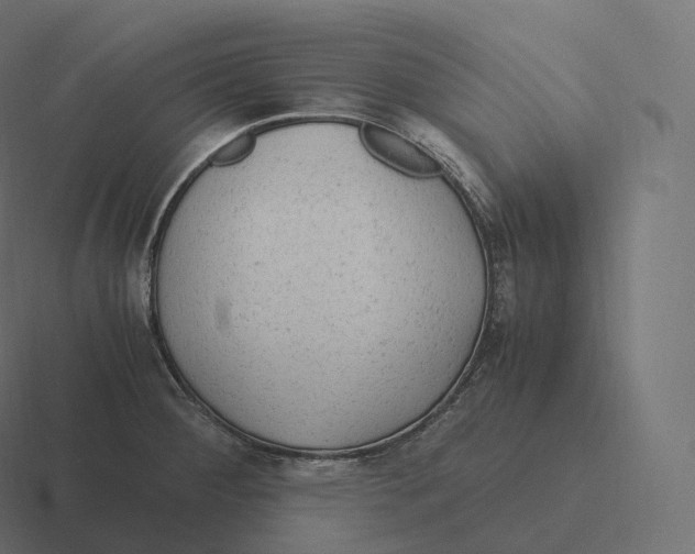 X0000116311284200912291444