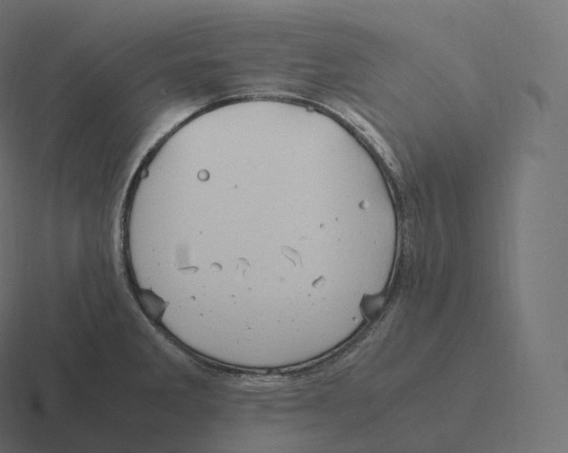 X0000116311285200912291444