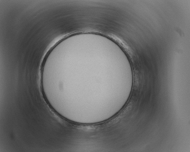 X0000116311286200912291444