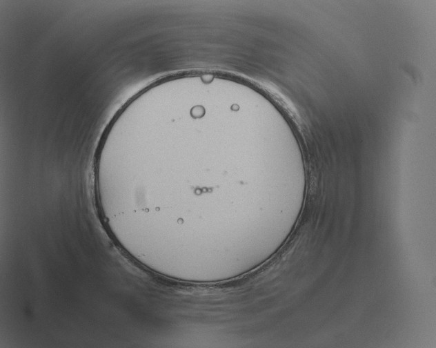 X0000116311287200912291444