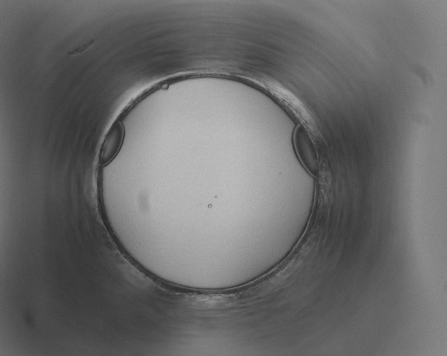 X0000116311288200912291444