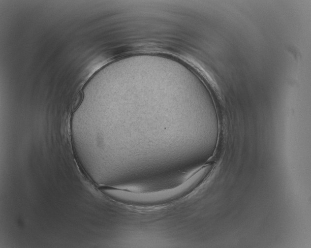 X0000116311289200912291444