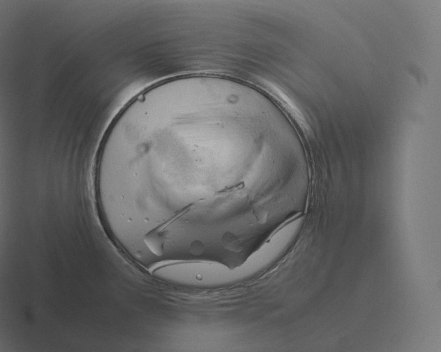 X0000116311291200912291444