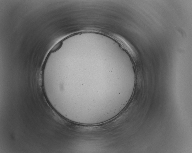 X0000116311292200912291444