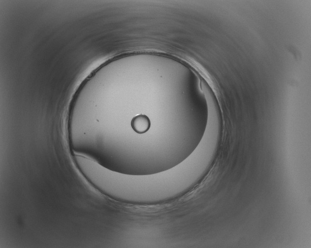 X0000116311293200912291444