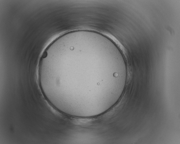 X0000116311294200912291444