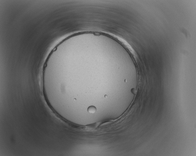 X0000116311295200912291444