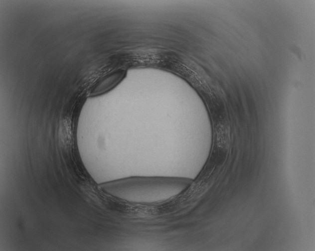 X0000116311298200912291443