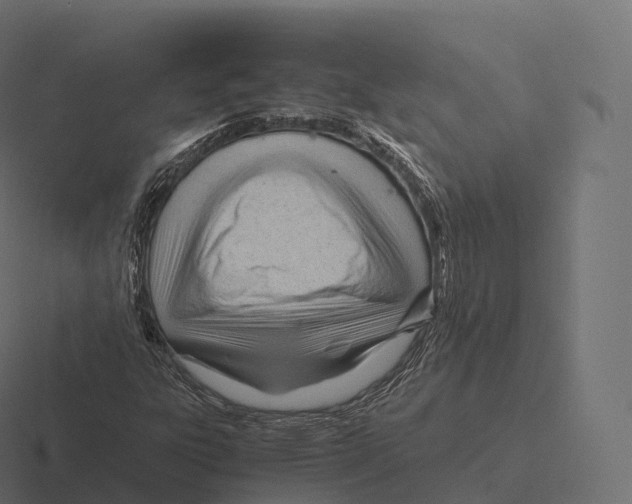 X0000116311303200912291443