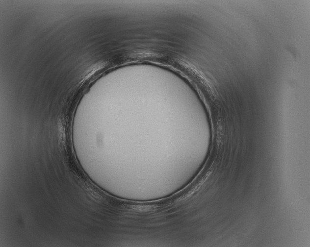 X0000116311305200912291443