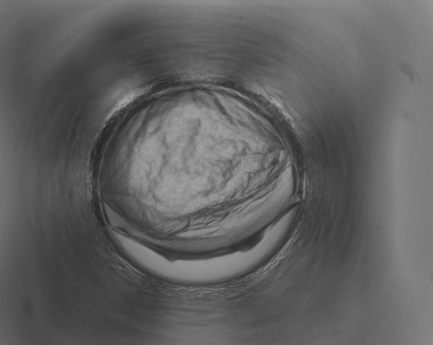 X0000116311306200912291443